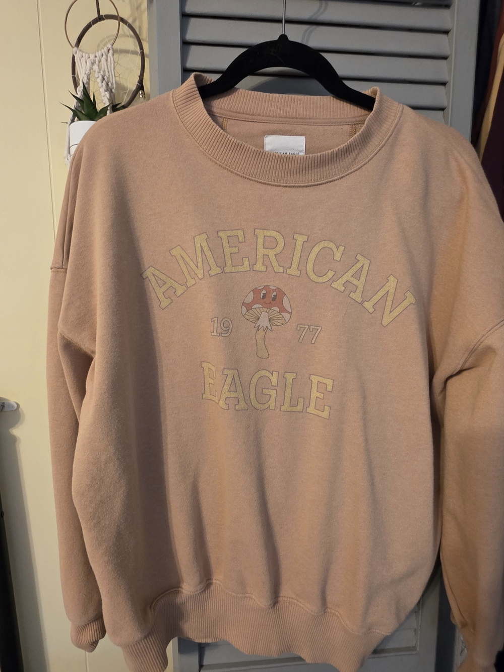 American Eagle Mushroom Sweatshirt